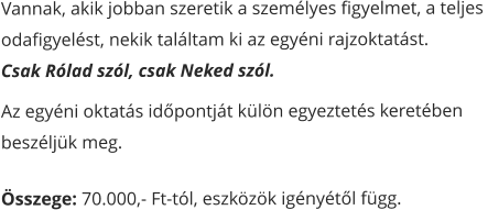Vannak, akik jobban szeretik a személyes figyelmet, a teljes  odafigyelést, nekik találtam ki az egyéni rajzoktatást.  Csak Rólad szól, csak Neked szól. Az egyéni oktatás időpontját külön egyeztetés keretében  beszéljük meg. Összege: 70.000,- Ft-tól, eszközök igényétől függ.